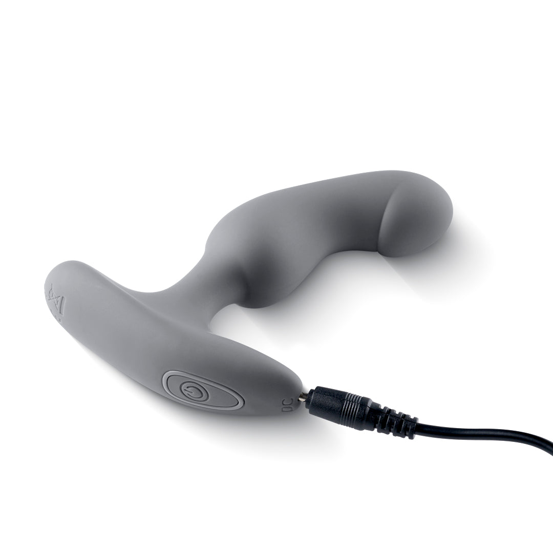 Intimate Intrigue: Flexible Anal Vibrator